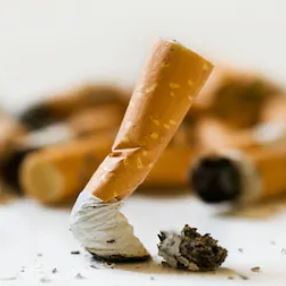 Put butts in the bin