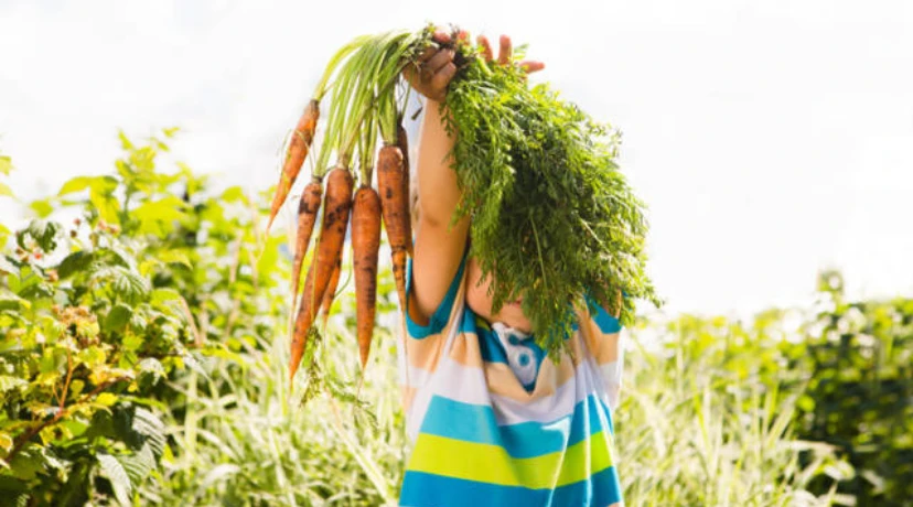 Buy European Fruit & Veg in Season