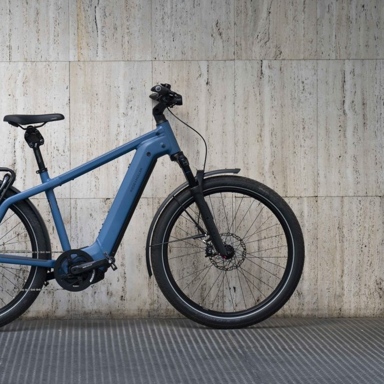 🚲 Sticking With European E-Bikes