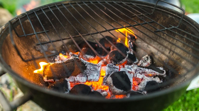 Best Weber Grill Alternatives 2026 – European & Canadian BBQ Brands