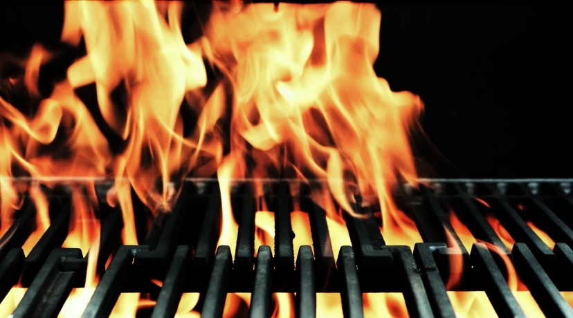 Weber Alternatives – Grills Without the Frills