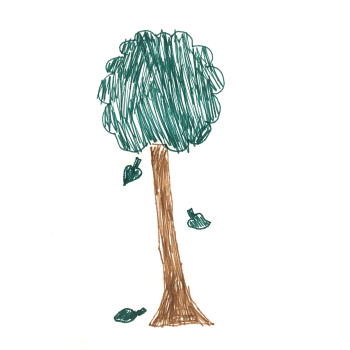 What can you do to reduce your climate footprint?